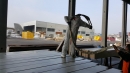 poliurea legno anticorrosione biogas